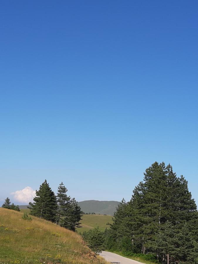 Apartman Gagi Zlatibor Exterior foto
